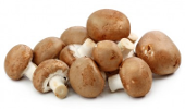 Les Champignons de Cussangy